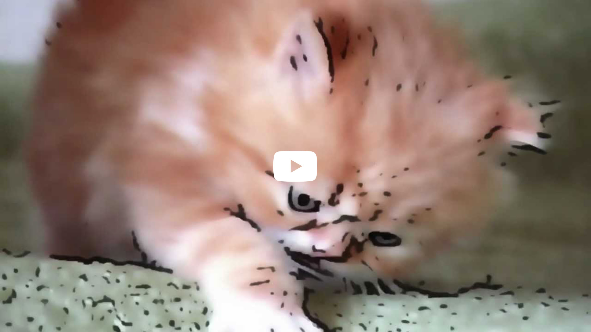 Video Play Video